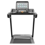 Беговая дорожка CardioPower Pro CT250