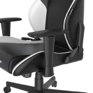 Геймерское кресло DXRacer OH/G2300/NW