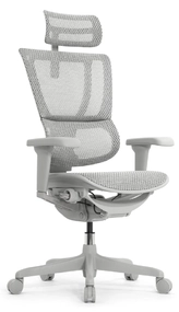 Эргономичное кресло Falto IOO Ultra (наклон вперёд, сетка, серый)