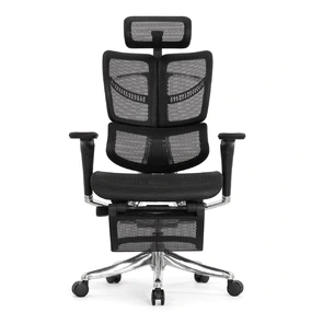 Анатомическое кресло Falto Fly 2 с подножкой (динамичный подголовник, подлокотники 6D (360), сетка, чёрный)