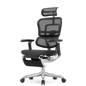 Эргономичное кресло Falto Ergohuman 2 Luxury с подножкой (SmartWork, алюминий, наклон вперёд, сетка, чёрный)