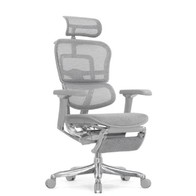 Эргономичное кресло Falto Ergohuman 2 Luxury с подножкой (SmartWork, алюминий, наклон вперёд, сетка, серый)