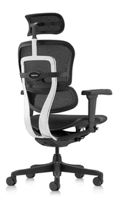 Эргономичное кресло Falto Ergohuman 2 Ultra (наклон вперёд, сетка, чёрный)