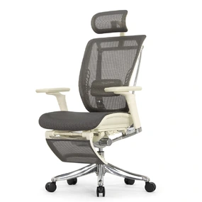 Эргономичное кресло Falto Spring 2 с подножкой (поясничный валик, подлокотники 6D (360), сетка, светлый)