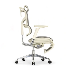 Эргономичное кресло Falto Sail 2 с подножкой (динамичный поясничный упор, подлокотники 6D (360), сетка, светлый)