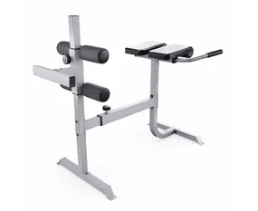 Гиперэкстензия/Римский стул DFC CAP, серебряный